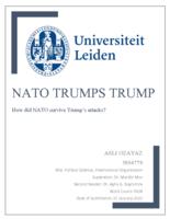 NATO Trumps Trump