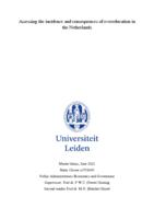 Assessing the incidence and consequences of overeducation in the Netherlands