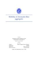 Mobility of chromatin fiber aggregates