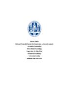 Risk and Protective Factors for Depression: A Network Analysis