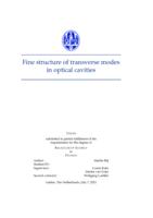 Fine structure of transverse modes in optical cavities