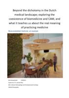 Beyond the Dichotomy in the Dutch Medical Landscape; exploring the coexistence of biomedicine and CAM, and what it teaches us about the real meaning of practicing medicine