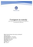 Foreigners in custody
