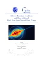 Effective Boundary Conditions and Observability of Black Hole Quasi-Normal Mode Echoes