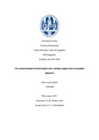 The nominal domain in Dutch-English code-switching: insights from acceptability judgments