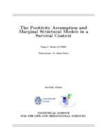The positivity assumption and marginal structural models in a survival context