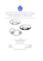 Examples of quantum moduli algebras via Hopf algebra gauge theory on ribbon graphs