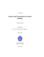 Gravity and Connections on Vector Bundles