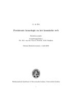 Persistente homologie en het kosmische web