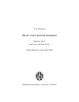 Blood vessel network formation