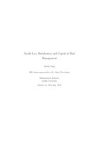 Credit Loss Distribution and Copula in Risk Management