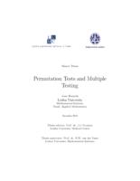 Permutation Tests and Multiple Testing