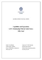 Capabilities and Expectations in EU’s Relationship With the United States: Still a Gap?