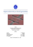 Superconductivity in fractal geometries