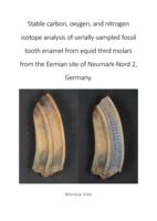 Stable carbon, oxygen, and nitrogen isotope analysis of serially-sampled fossil tooth enamel from equid third molars from the Eemian site of Neumark-Nord 2, Germany.