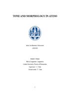 Tone and Morphology in Aetso