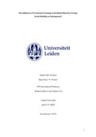 The Influence of Vocational Training on Brazilian Minority Groups: Social Mobility or Entrapment?