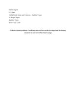 Collective action problems: Conflicting interests between the developed and developing countries on non-renewable resource usage