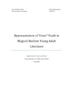 Representation of Trans* Youth in Magical Realism Young Adult Literature