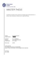 MASTER THESIS