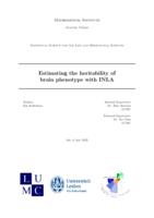 Estimating the heritability ofbrain phenotype with INLA
