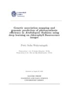 Genetic association mapping andgenomic prediction of photosynthesis efficiency in Arabidopsis thaliana using deep learning on chlorophyll fluorescence images