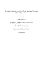 Investigating the Relationship Between Perceived Social Support, Social Networks and Depression in Young Adults