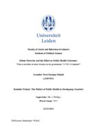 Ethnic Diversity and the effect on Public Health Outcomes