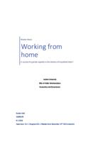 Working from home: a success for gender equality in the division of household labor?