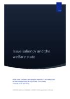 Issue saliency and the welfare state