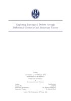 Exploring Topological Defects through Differential Geometry and Homotopy Theory